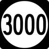 3000